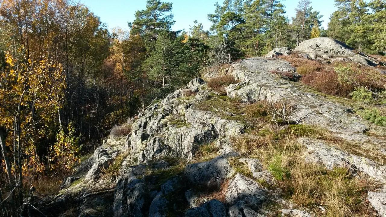 Bed&Breakfast In Nature 12 Min From City Free Bikes Stockholm Buitenkant foto