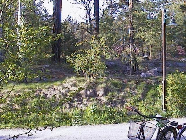 Bed&Breakfast In Nature 12 Min From City Free Bikes Stockholm Buitenkant foto